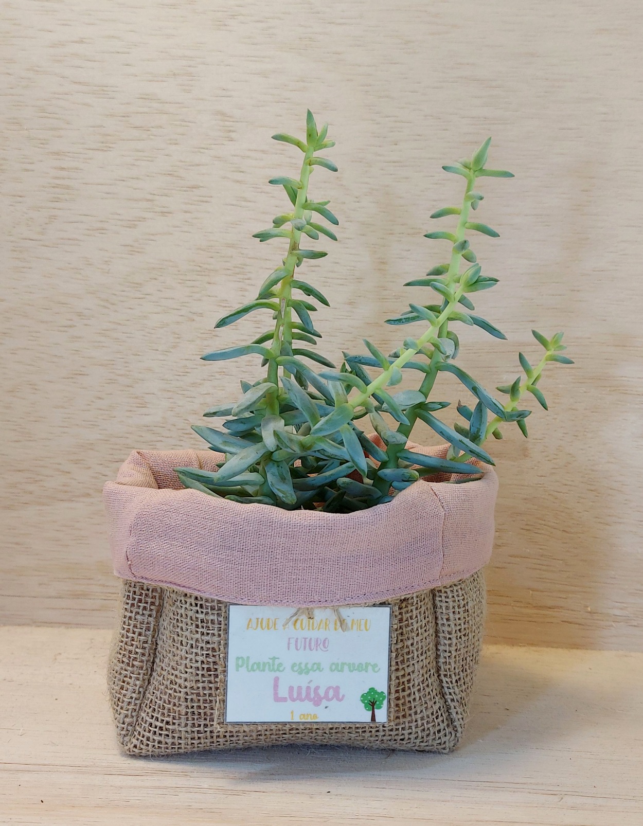 Cachepô Plante uma Árvore - Rosa Bebê - Lembrancinha de Aniversário - Tag Personalizada - Juta & Tecido